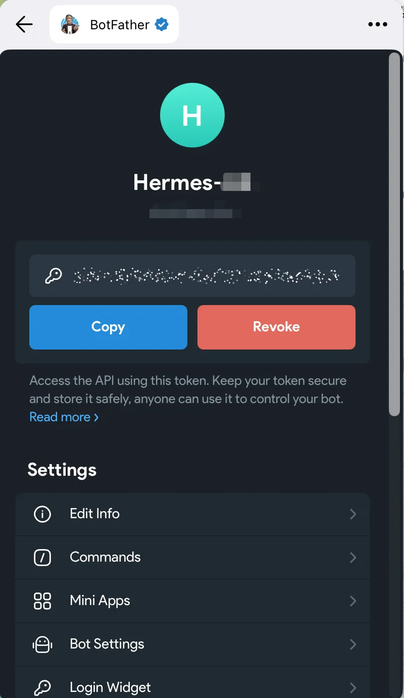 从零开始搭建 Hermes 智能体：手把手教你完美接入 Telegram - 配图 3